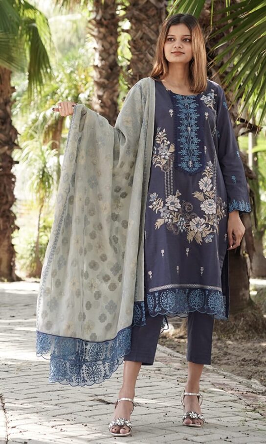 Charming Mulled Wine Khaddar Embroidered