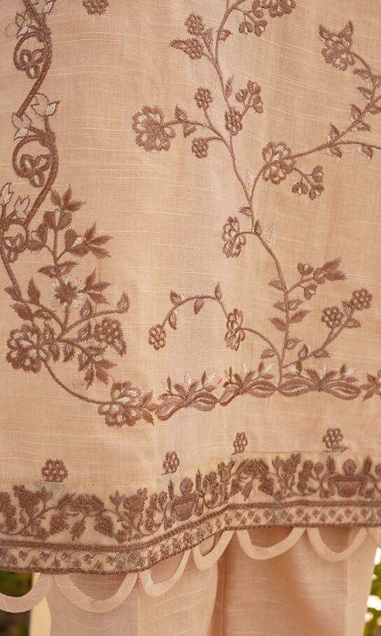 Graceful Grayish Skin Khaddar Embroidred