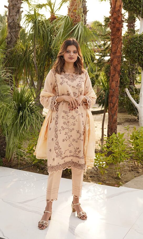 Graceful Grayish Skin Khaddar Embroidred